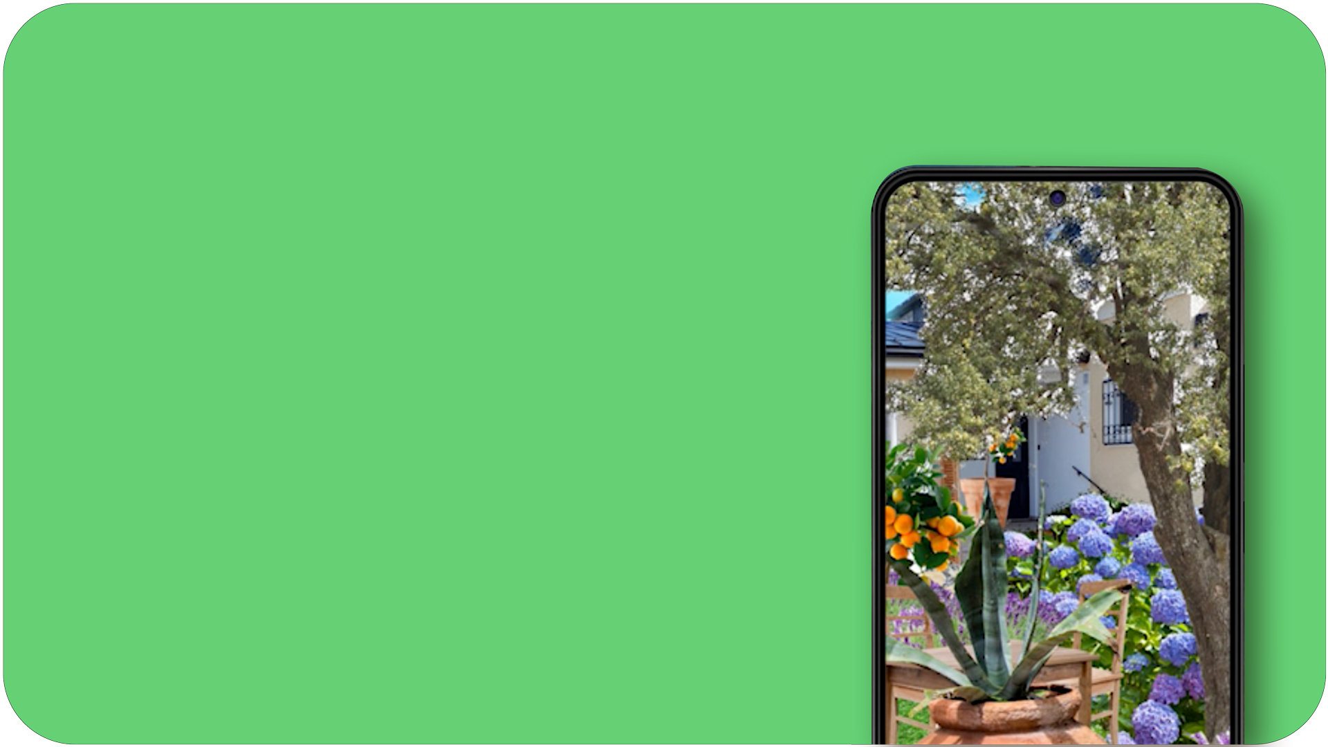 grüne Fläche mit Smartphone. Smartphonebildschirm zeigt einen Garten