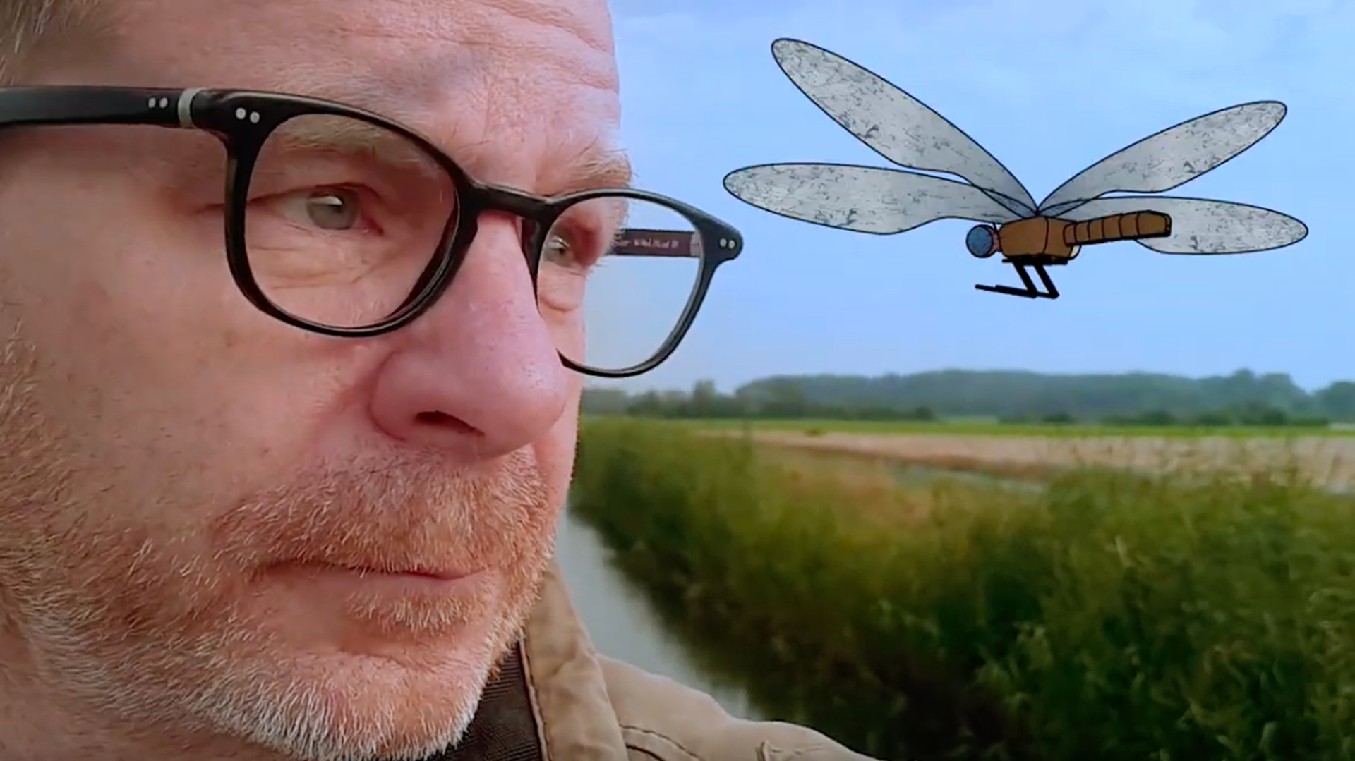 Die kleine Libelle – ein Animationsfilm