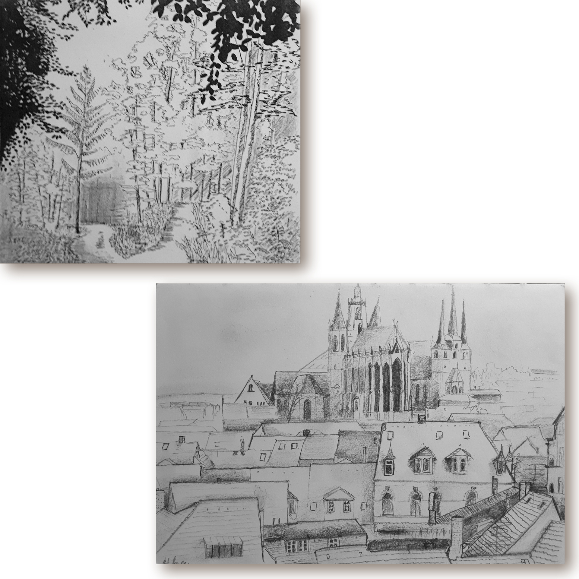 2 Illustrationen aus Bleistift. Links oben: eine Waldszene, rechts unten Erfurt von oben mit Blick auf den Dom und Sevirikirche. Auch das ist Kunst.