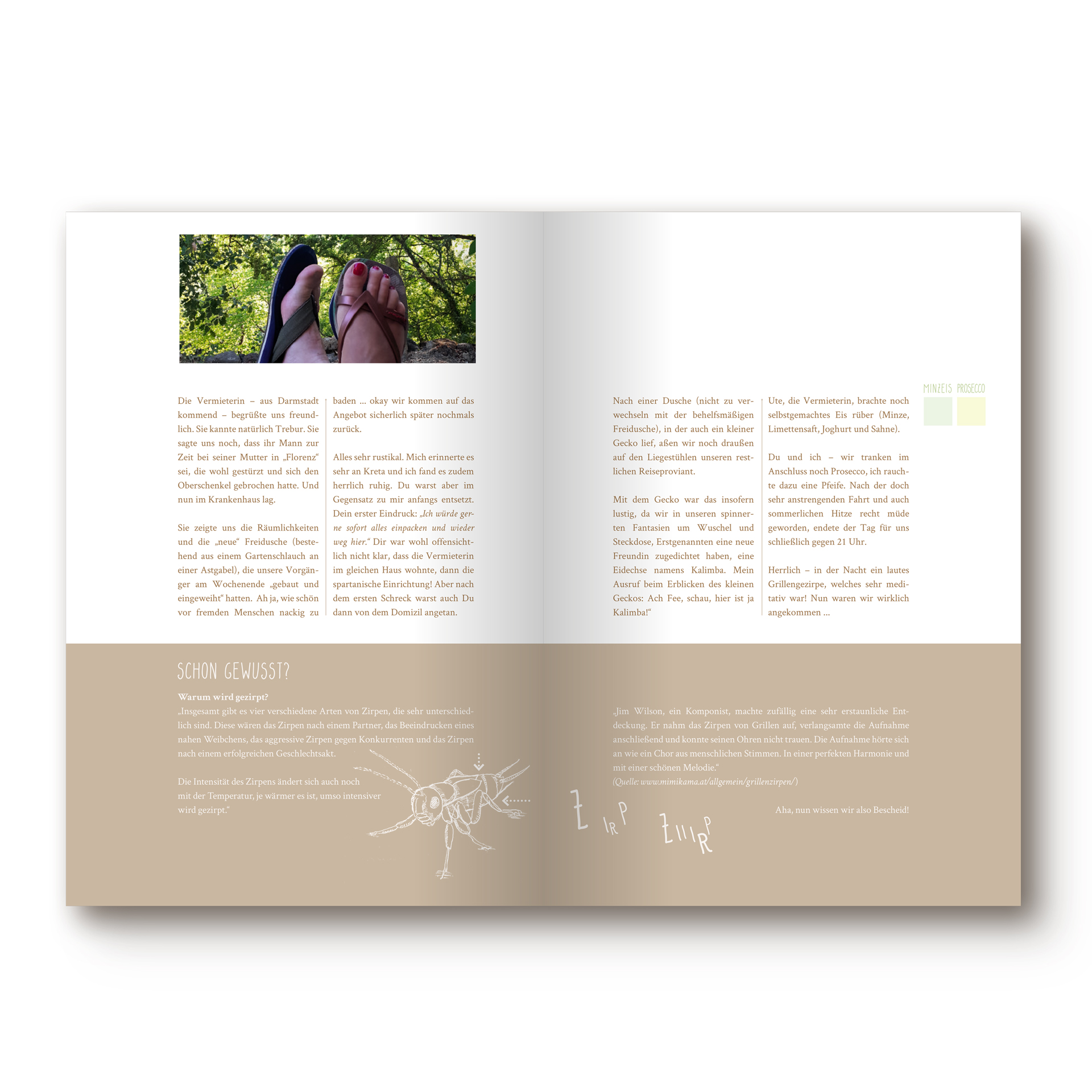 Reisebuch Toskana, man sieht ein Foto mit 2 Füßen auf der Liege, Wald im Hintergrund. Unten eine Illustration einer Grille