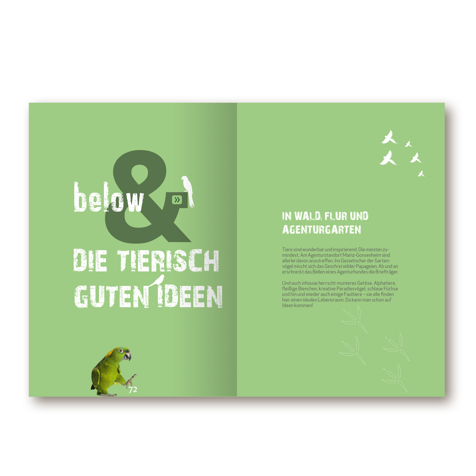 Brandbook der Firma below GmbH Mainz. Man sieht einen Papgei vor grünem Hintergrund